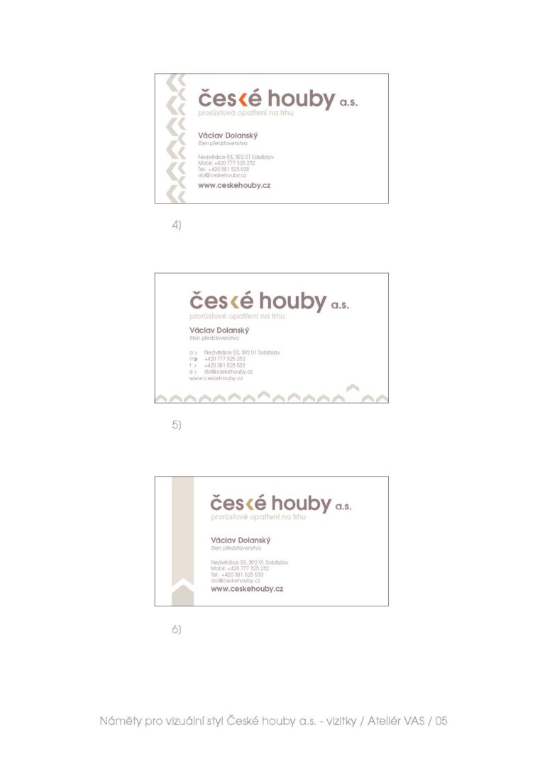 06 koncept vizitky houby